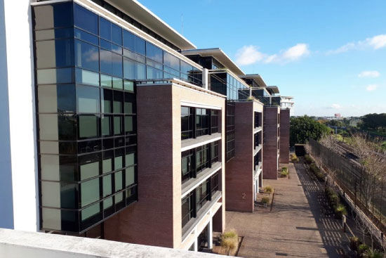 Working Ocampo 2 - Rukan